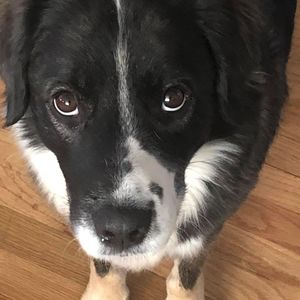 Meet your Posher, Philip